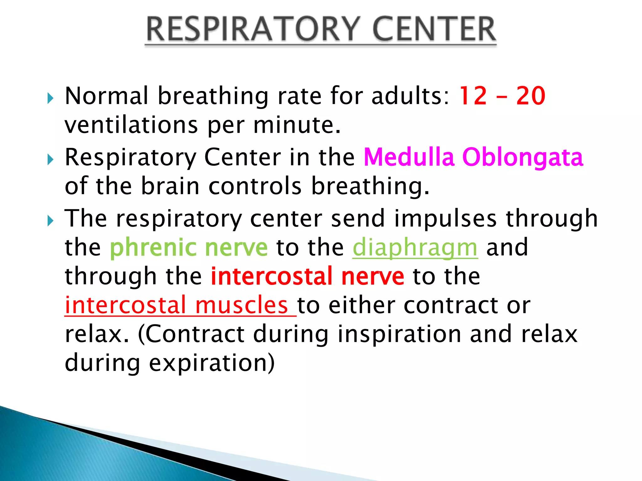    Normal breathing rate for adults: 12 – 20
    ventilations per minute.
   Respiratory Center in the Medulla Oblongata
    of the brain controls breathing.
   The respiratory center send impulses through
    the phrenic nerve to the diaphragm and
    through the intercostal nerve to the
    intercostal muscles to either contract or
    relax. (Contract during inspiration and relax
    during expiration)
 