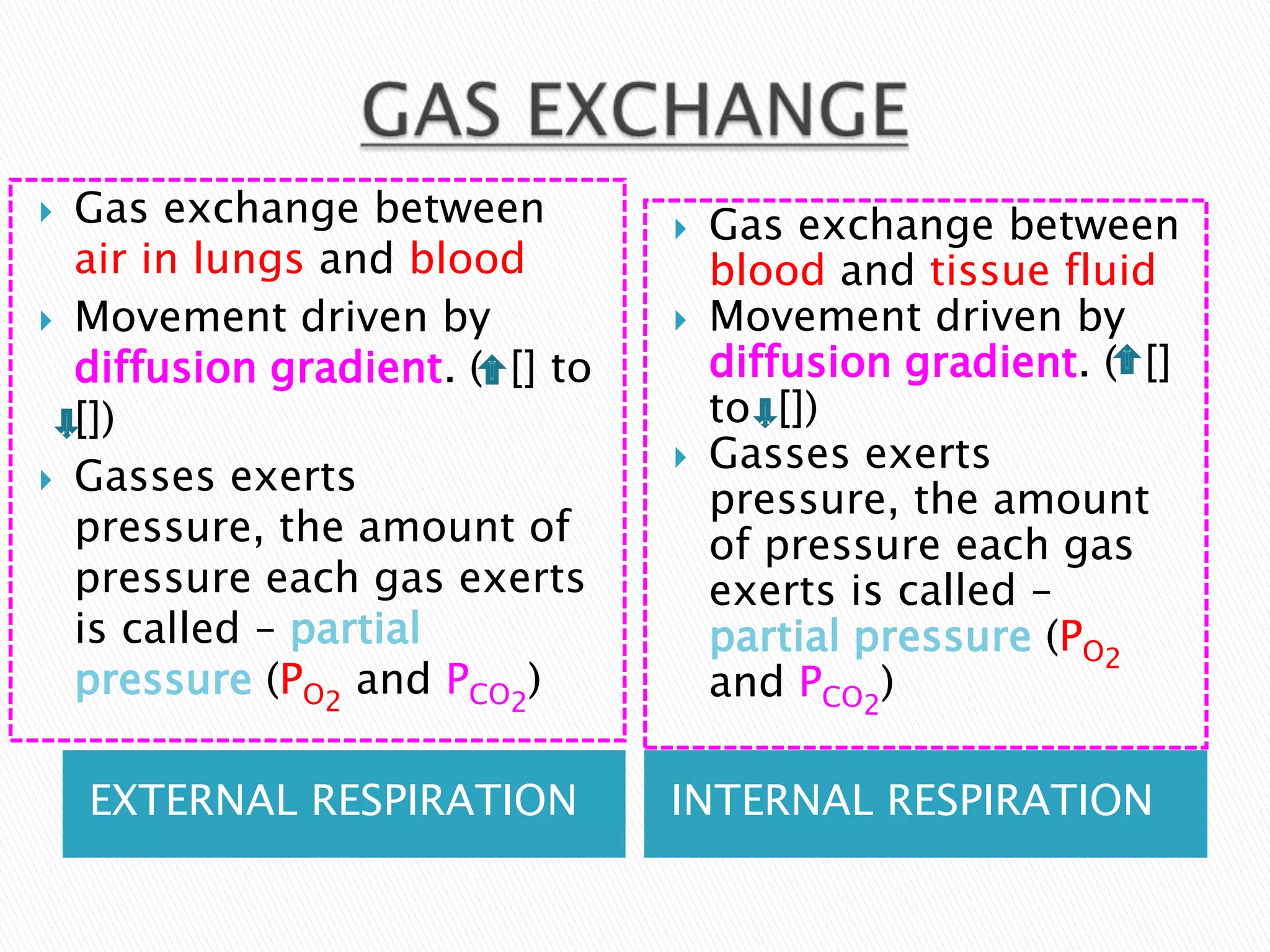    Gas exchange between             Gas exchange between
    air in lungs and blood            blood and tissue fluid
   Movement driven by               Movement driven by
    diffusion gradient. ( [] to       diffusion gradient. ( []
    [])                               to [])
                                     Gasses exerts
   Gasses exerts
                                      pressure, the amount
    pressure, the amount of           of pressure each gas
    pressure each gas exerts          exerts is called –
    is called – partial               partial pressure (PO2
    pressure (PO2 and PCO2)           and PCO2)

    EXTERNAL RESPIRATION          INTERNAL RESPIRATION
 