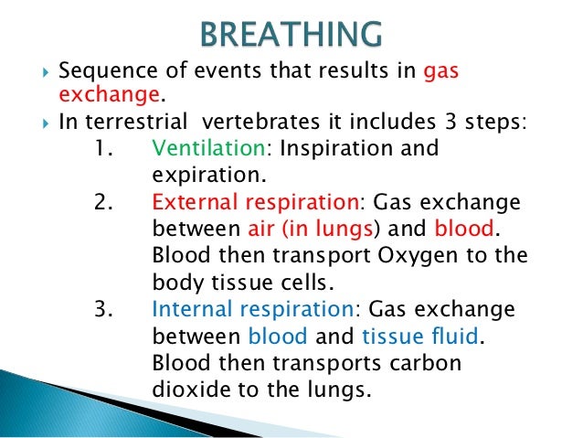 get in how lungs fluid does exchange gas respiratory and Unit system 3 get in how lungs fluid does exchange gas respiratory and Unit system 3