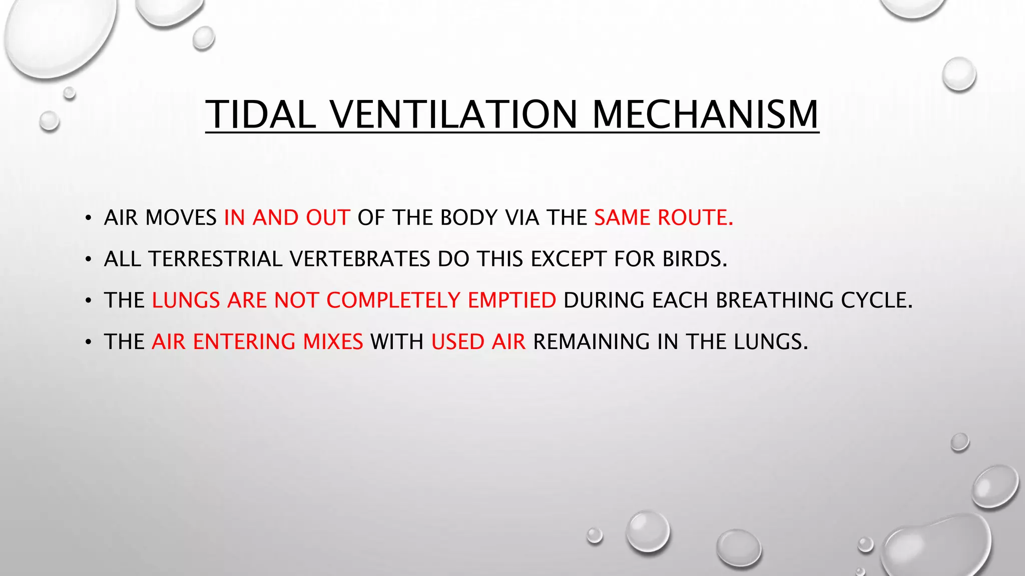 TIDAL VENTILATION MECHANISM
• AIR MOVES IN AND OUT OF THE BODY VIA THE SAME ROUTE.
• ALL TERRESTRIAL VERTEBRATES DO THIS EXCEPT FOR BIRDS.
• THE LUNGS ARE NOT COMPLETELY EMPTIED DURING EACH BREATHING CYCLE.
• THE AIR ENTERING MIXES WITH USED AIR REMAINING IN THE LUNGS.
 