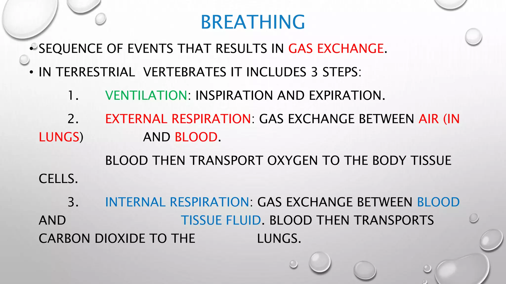BREATHING
• SEQUENCE OF EVENTS THAT RESULTS IN GAS EXCHANGE.
• IN TERRESTRIAL VERTEBRATES IT INCLUDES 3 STEPS:
1. VENTILATION: INSPIRATION AND EXPIRATION.
2. EXTERNAL RESPIRATION: GAS EXCHANGE BETWEEN AIR (IN
LUNGS) AND BLOOD.
BLOOD THEN TRANSPORT OXYGEN TO THE BODY TISSUE
CELLS.
3. INTERNAL RESPIRATION: GAS EXCHANGE BETWEEN BLOOD
AND TISSUE FLUID. BLOOD THEN TRANSPORTS
CARBON DIOXIDE TO THE LUNGS.
 