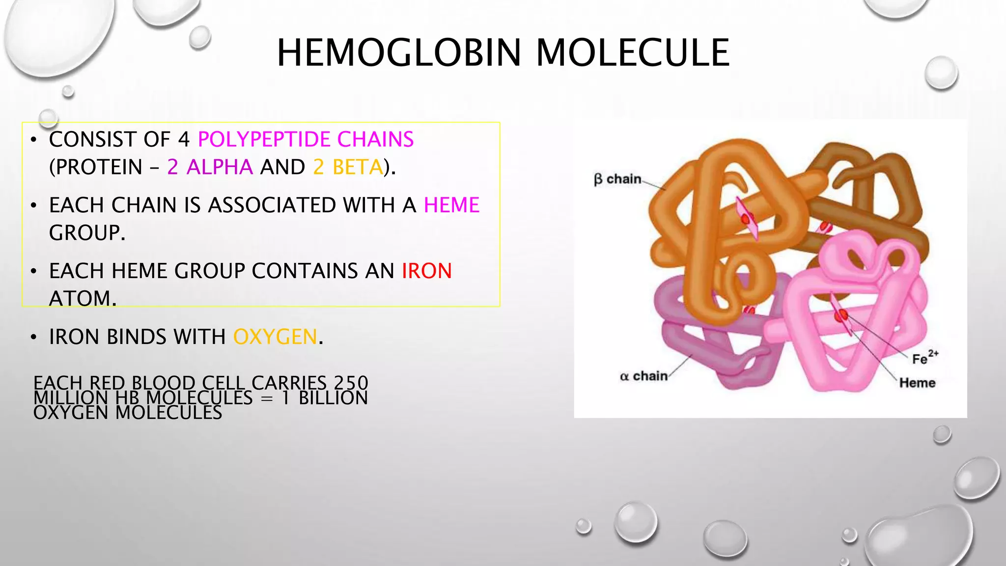 HEMOGLOBIN MOLECULE
EACH RED BLOOD CELL CARRIES 250
MILLION HB MOLECULES = 1 BILLION
OXYGEN MOLECULES
• CONSIST OF 4 POLYPEPTIDE CHAINS
(PROTEIN – 2 ALPHA AND 2 BETA).
• EACH CHAIN IS ASSOCIATED WITH A HEME
GROUP.
• EACH HEME GROUP CONTAINS AN IRON
ATOM.
• IRON BINDS WITH OXYGEN.
 