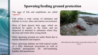 Unit 3 Restoration and Management of aquatic habitats pptx | PPTX