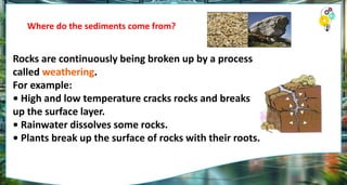 Where do the sediments come from?
Rocks are continuously being broken up by a process
called weathering.
For example:
• High and low temperature cracks rocks and breaks
up the surface layer.
• Rainwater dissolves some rocks.
• Plants break up the surface of rocks with their roots.
 
