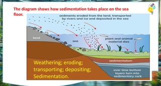 The diagram shows how sedimentation takes place on the sea
floor.
Weathering; eroding;
transporting; depositing;
Sedimentation.
 