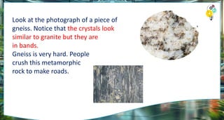 Look at the photograph of a piece of
gneiss. Notice that the crystals look
similar to granite but they are
in bands.
Gneiss is very hard. People
crush this metamorphic
rock to make roads.
 