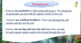 - Farmers use pesticides to kill weeds and insects. The chemicals
in pesticides can also kill the organic matter in the soil.
- Farmers use artificial fertilisers. These can damage the soil
texture and dry out the soil.
- Farmers do not dig and turn the soil over often enough.
Air and organic matter needs to be mixed through the soil.
Damagingsoil
 