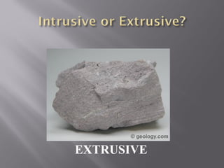 EXTRUSIVE 
 