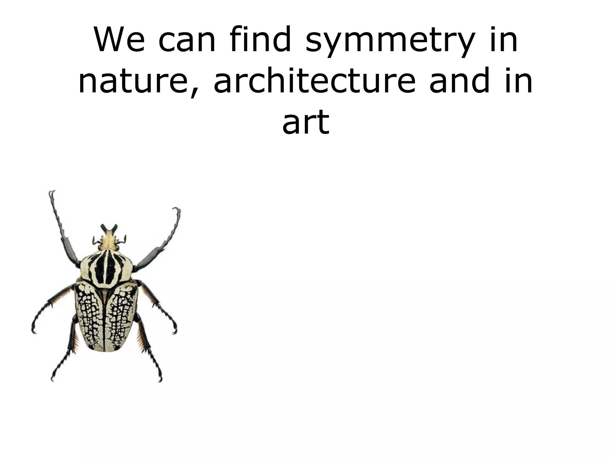 We can find symmetry in nature, architecture and in art 
