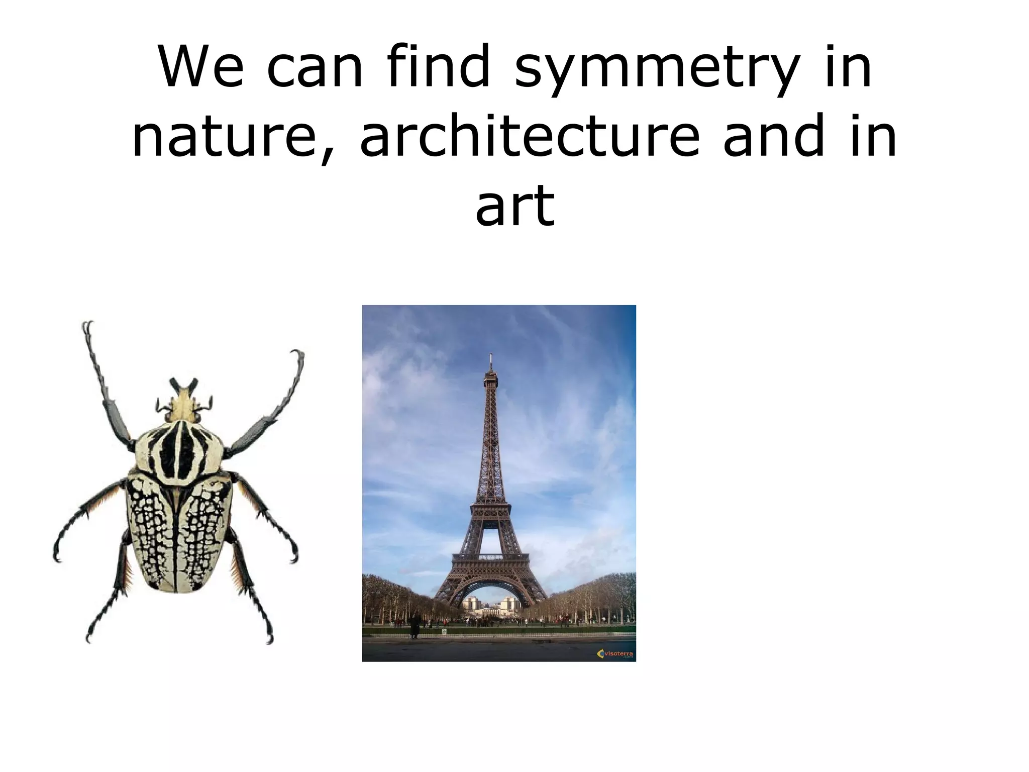 We can find symmetry in nature, architecture and in art 