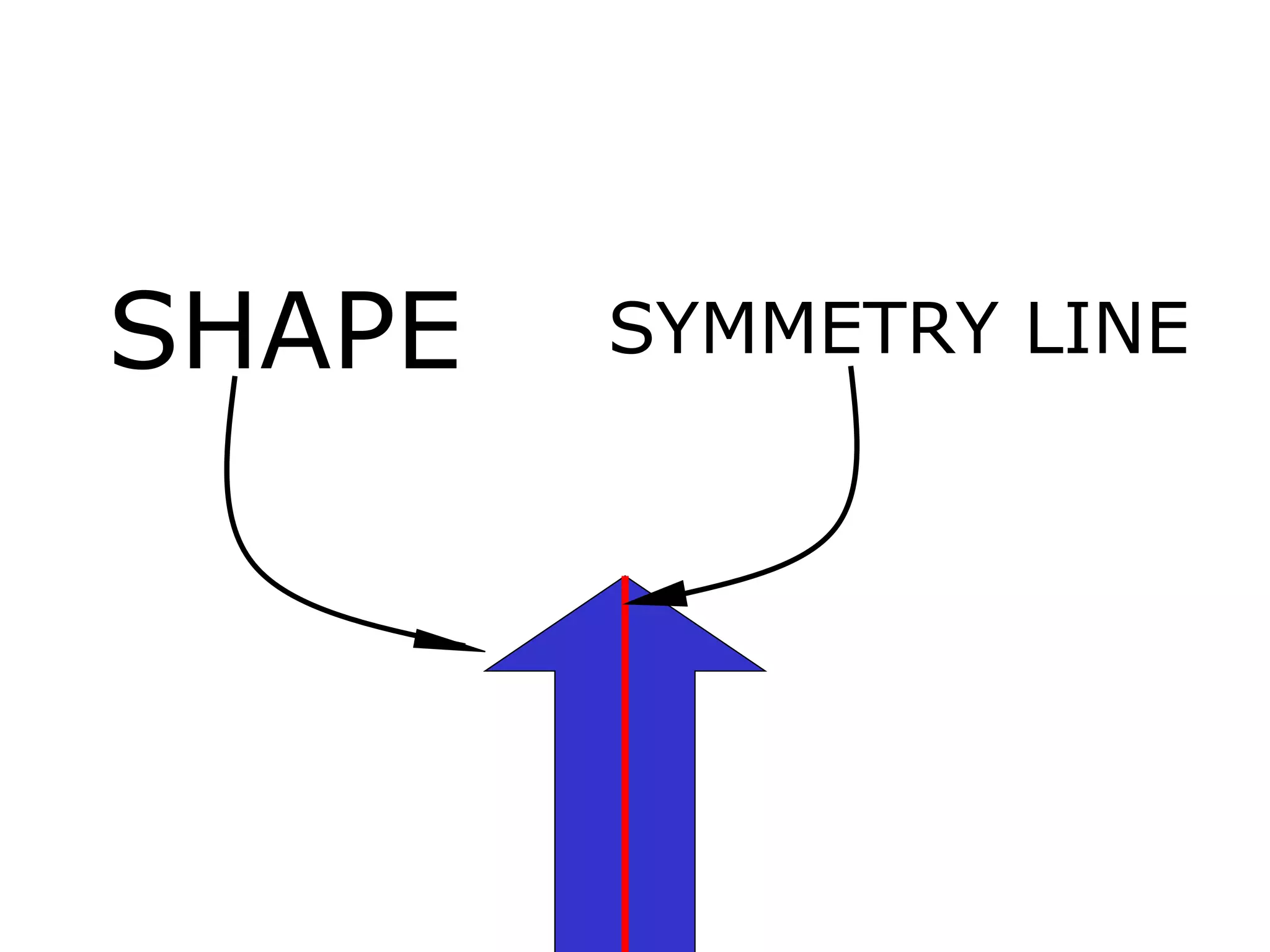 SHAPE SYMMETRY LINE 