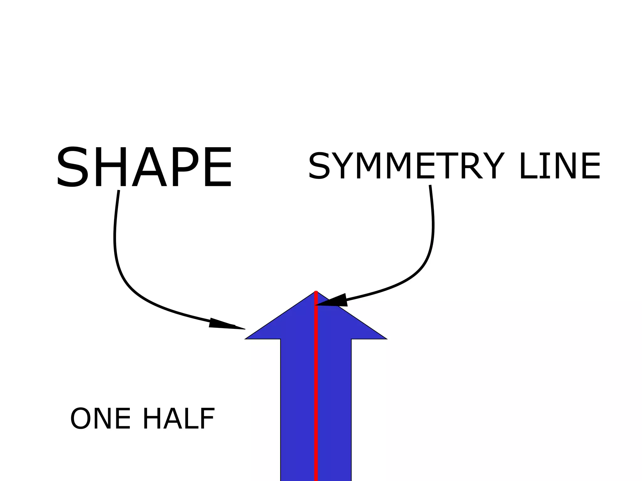 ONE HALF  ARE EQUAL OTHER HALF SHAPE SYMMETRY LINE 