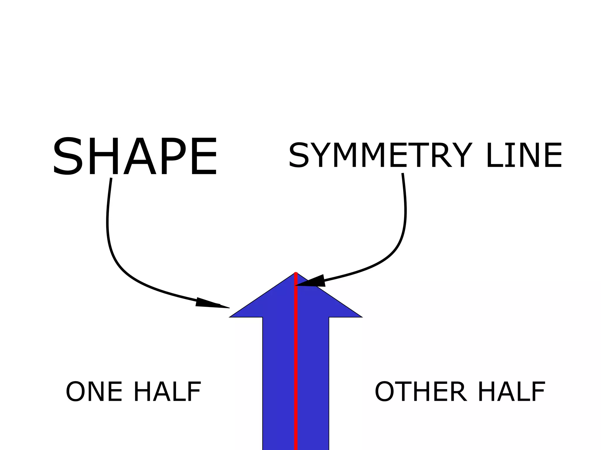 ONE HALF  ARE EQUAL  OTHER HALF SHAPE SYMMETRY LINE 
