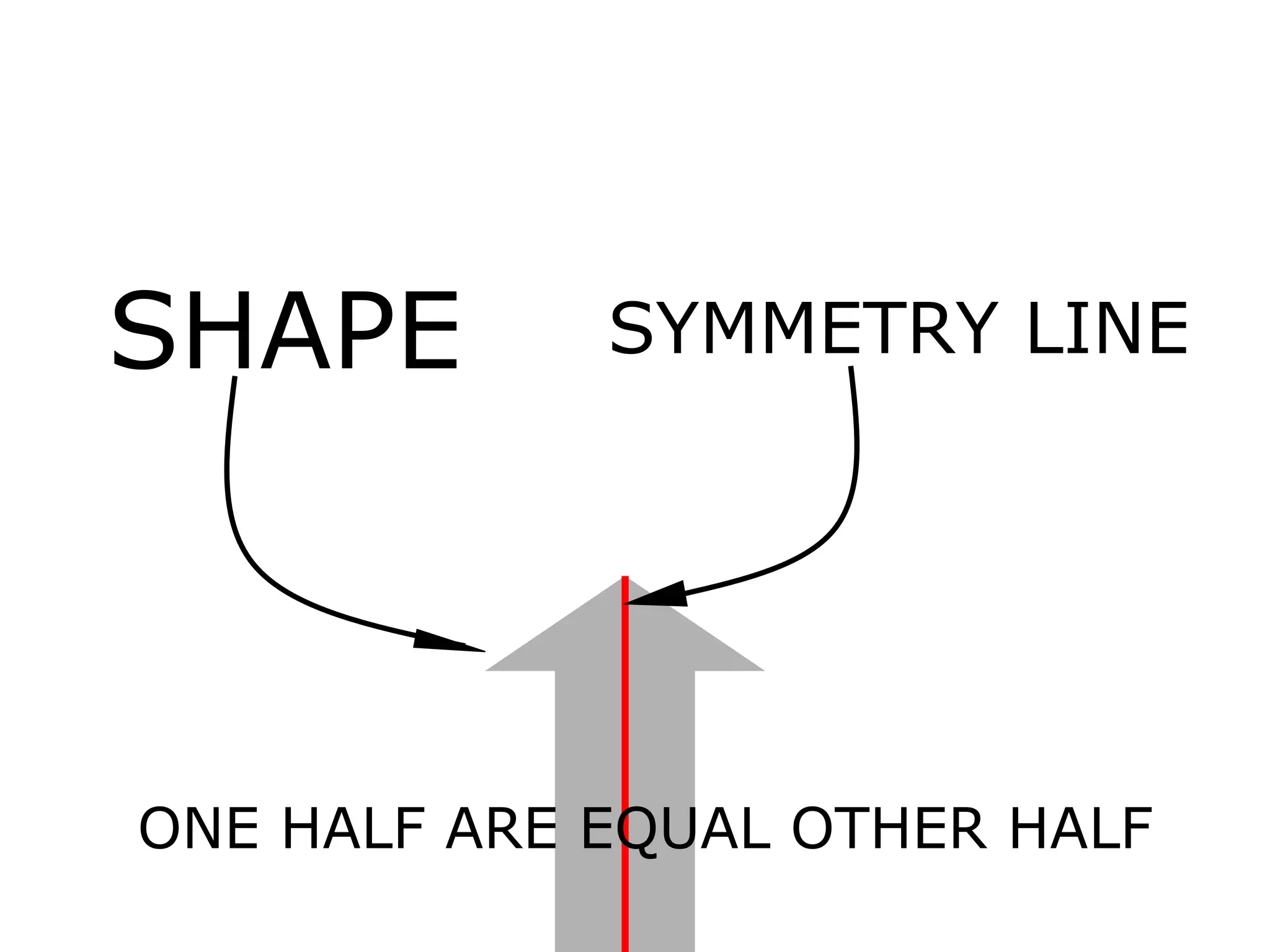SHAPE SYMMETRY LINE ONE HALF ARE EQUAL OTHER HALF 