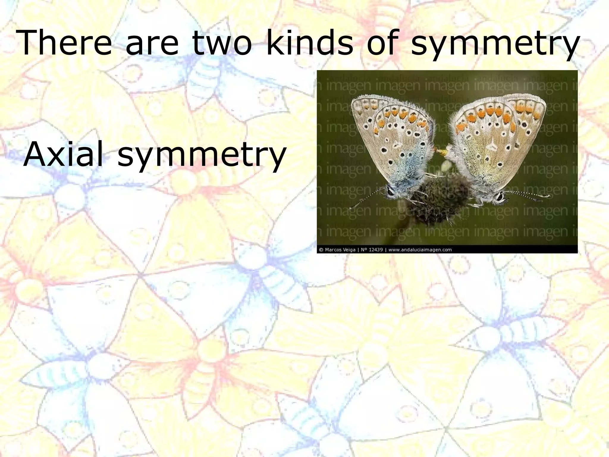 There are two kinds of symmetry   Axial symmetry 
