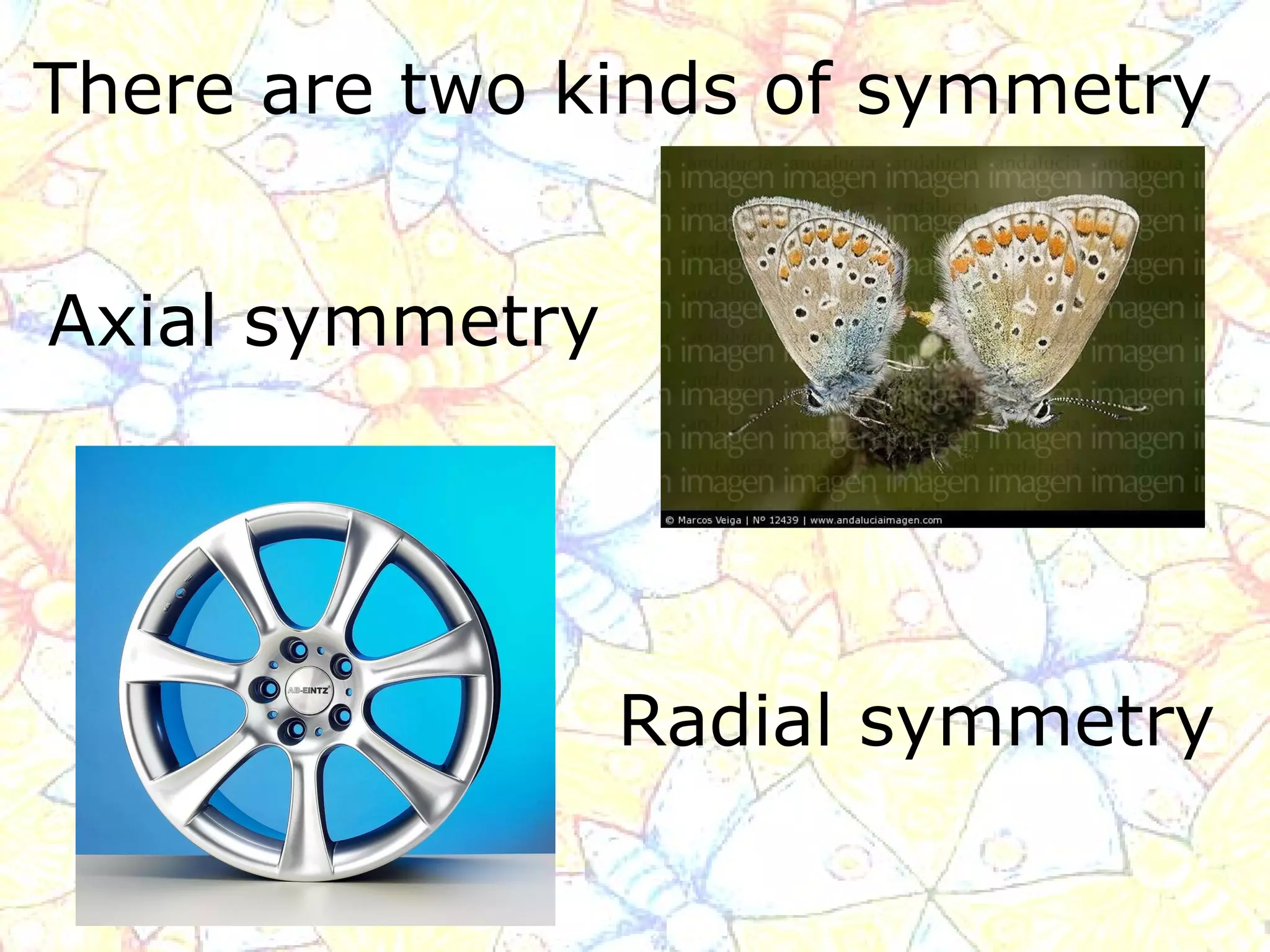There are two kinds of symmetry   Axial symmetry Radial symmetry 