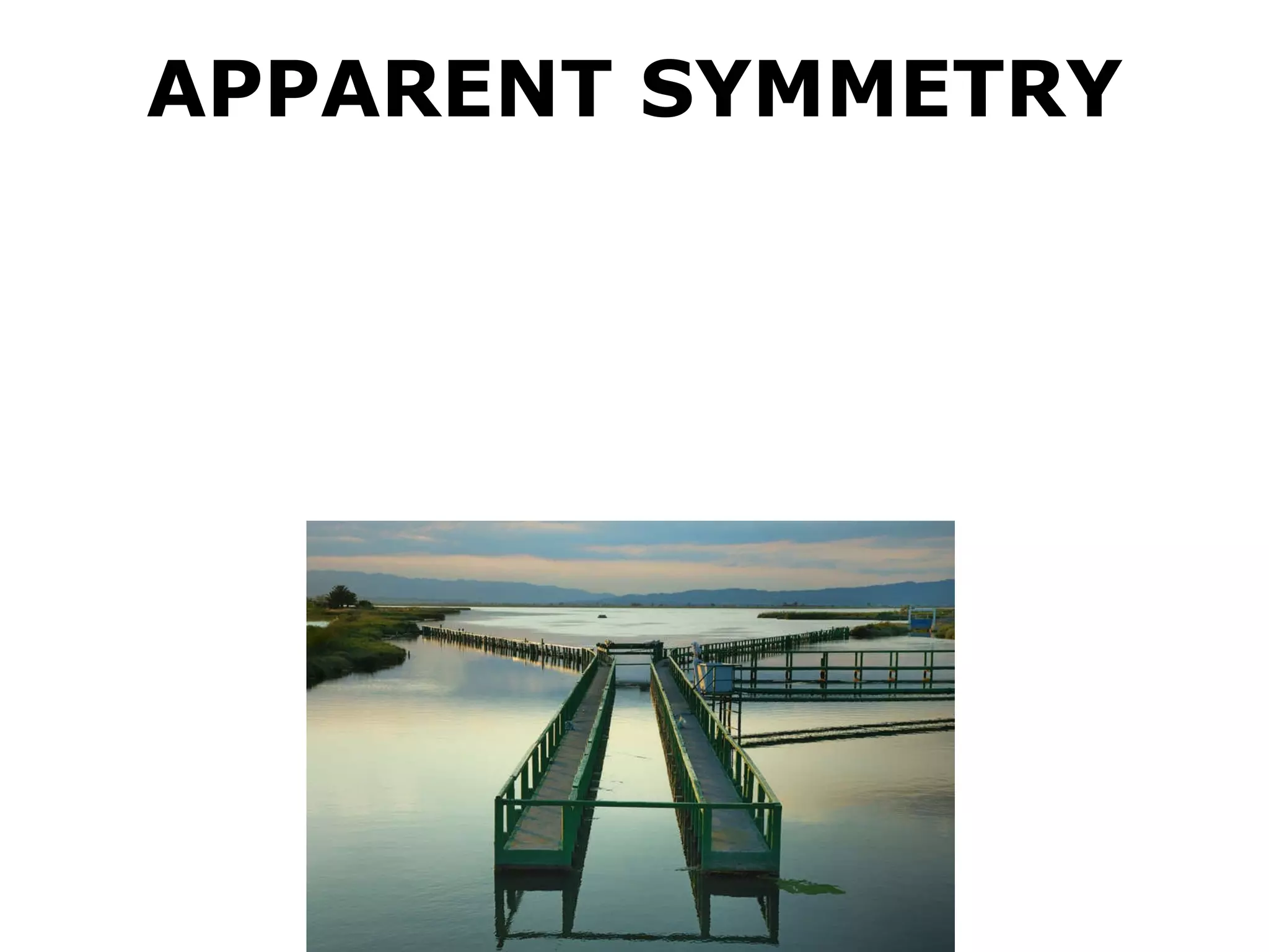 APPARENT SYMMETRY 