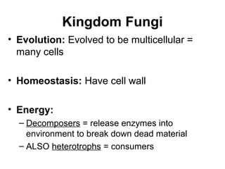 Kingdom Fungi
• Evolution: Evolved to be multicellular =
  many cells

• Homeostasis: Have cell wall

• Energy:
  – Decomposers = release enzymes into
    environment to break down dead material
  – ALSO heterotrophs = consumers
 