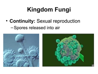 Kingdom Fungi
• Continuity: Sexual reproduction
  – Spores released into air
 