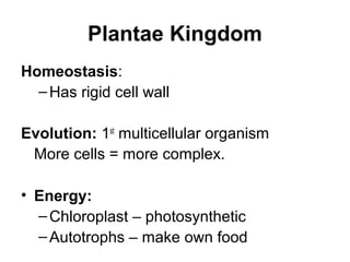 Plantae Kingdom
Homeostasis:
  – Has rigid cell wall

Evolution: 1st multicellular organism
 More cells = more complex.

• Energy:
  – Chloroplast – photosynthetic
  – Autotrophs – make own food
 