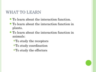 Unit 3 The interaction function | PPT