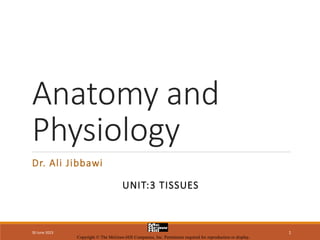 Anatomy and
Physiology
Dr. Ali Jibbawi
30 June 2023 1
UNIT:3 TISSUES
Copyright © The McGraw-Hill Companies, Inc. Permission required for reproduction or display.
 