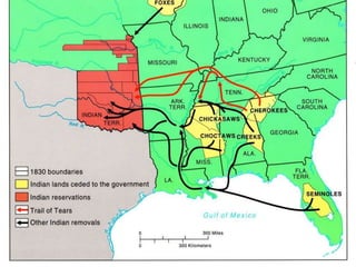 Unit 3 transformation and expansion
