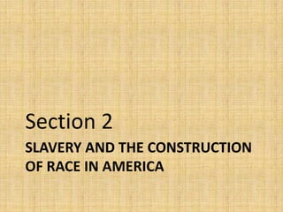 Section 2
SLAVERY AND THE CONSTRUCTION
OF RACE IN AMERICA
 