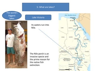 5- What are lakes?
The world’s
biggest
lakes Lake Victoria
The Nile perch is an
invasive specie and
the prime reason for
the native fish
extinction.
Its waters run into
Nile.
 