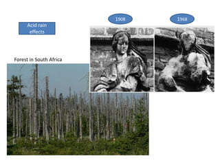 Acid rain
effects
1908 1968
Forest in South Africa
 