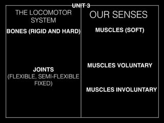 THE LOCOMOTOR
SYSTEM
JOINTS
(FLEXIBLE, SEMI-FLEXIBLE
FIXED)
BONES (RIGID AND HARD) MUSCLES (SOFT)
MUSCLES VOLUNTARY
UNIT 3
OUR SENSES
MUSCLES INVOLUNTARY
 