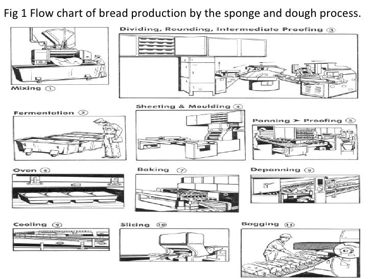 Fig 1 Flow chart of bread production by the sponge and dough process.                                                     ...