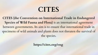 CITES (the Convention on International Trade in Endangered
Species of Wild Fauna and Flora) is an international agreement
between governments. Its aim is to ensure that international trade in
specimens of wild animals and plants does not threaten the survival of
the species.
https://cites.org/eng
CITES
 