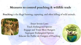 Poaching is the illegal hunting, capturing, and often killing of wild animals.
Enact Severe Laws
Track Endangered Species
Engage and Train More Rangers
Segregate Endangered Species
Educate the Public on Dangers of Poaching
Measures to control poaching & wildlife trade
 