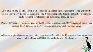 A specimen of a CITES-listed species may be imported into or exported (or re-exported)
from a State party to the Convention only if the appropriate document has been obtained
and presented for clearance at the port of entry or exit.
Over 38,700 species – including roughly 5,950 species of animals and 32,800 species of plants – are
protected by CITES against over-exploitation through international trade.
A State or regional economic integration organization for which the Convention has entered into
force is called a Party to CITES. Currently there are 184 Parties.
 