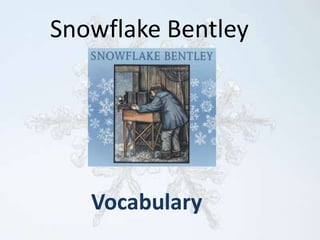 Snowflake Bentley Vocabulary 