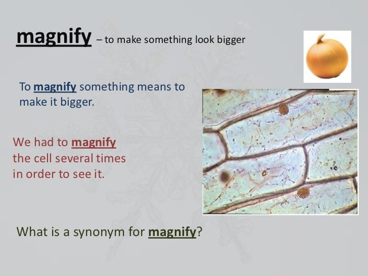 Unit3wk5 vocab introduction1