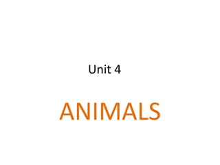 Unit 4	 ANIMALS 
