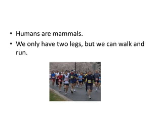 Humans are mammals.We only have two legs, but we can walk and run.