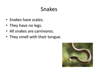 SnakesSnakes have scales.They have no legs.All snakes are carnivores.They smell with their tongue.