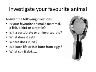 Investigate your favourite animalAnswer the following questions:Is your favourite animal a mammal, a fish, a bird or a reptile?Is it a vertebrate or an invertebrate?What does it eat?Where does it live?Is it born life or is it born from eggs?What can it do?.....