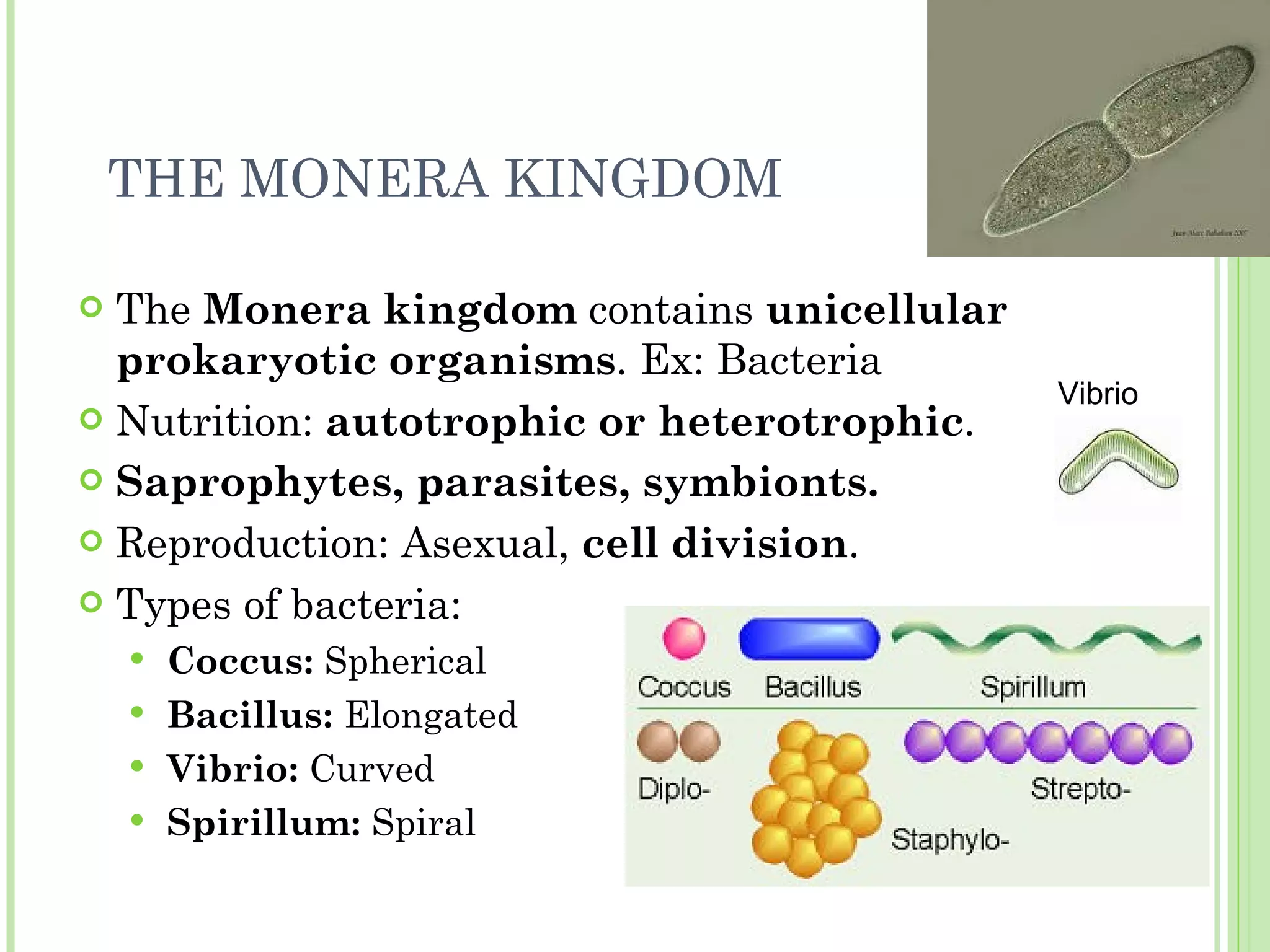 Unit 4: Monera, Protoctist, Fungi and Plants | PPT