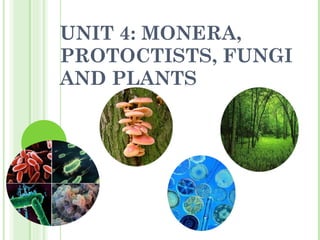 UNIT 4: MONERA, PROTOCTISTS, FUNGI AND PLANTS 