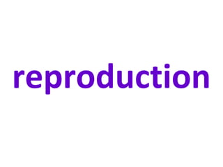 reproduction