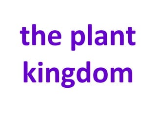 the plant
kingdom