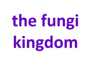 the fungi
kingdom