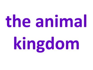 the animal
kingdom