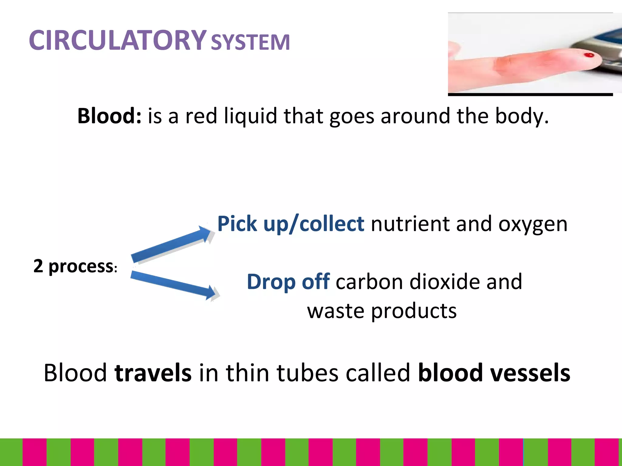 Blood: is a red liquid that goes around the body.
2 process:
CIRCULATORYSYSTEM
Pick up/collect nutrient and oxygen
Drop off carbon dioxide and
waste products
Blood travels in thin tubes called blood vessels
 