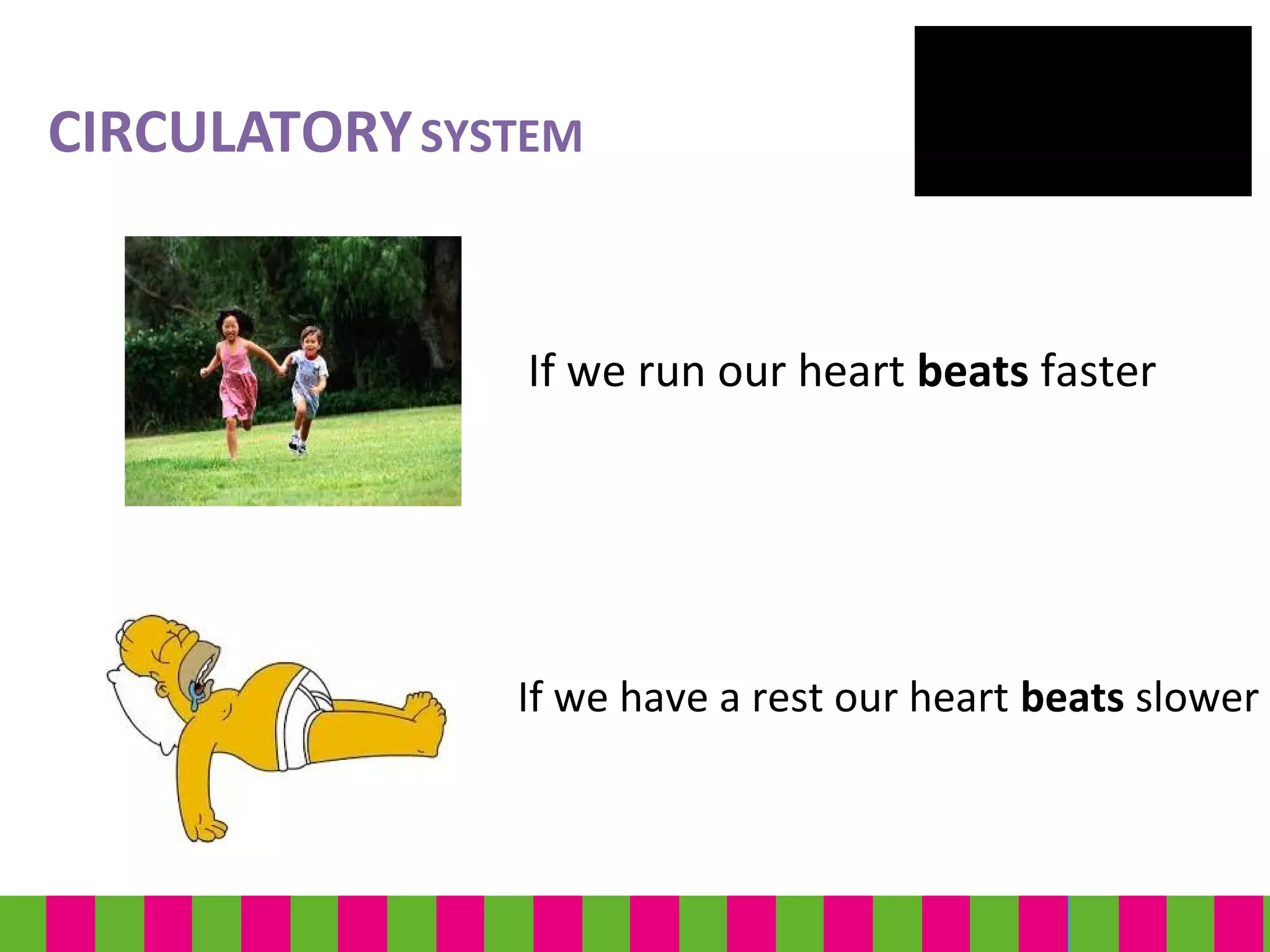 If we run our heart beats faster
If we have a rest our heart beats slower
CIRCULATORYSYSTEM
 