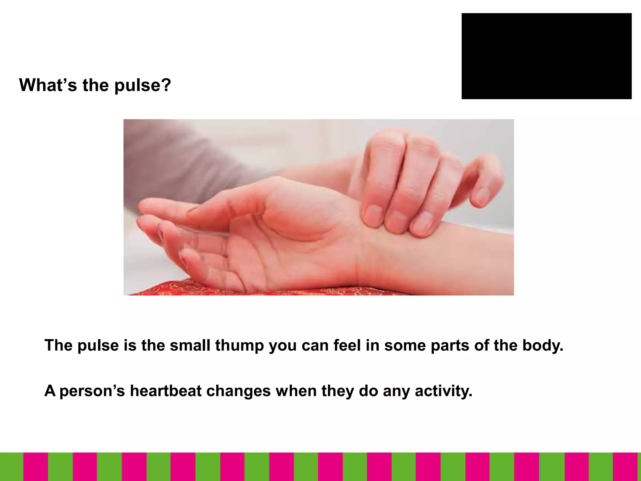 What’s the pulse?
A person’s heartbeat changes when they do any activity.
The pulse is the small thump you can feel in some parts of the body.
 